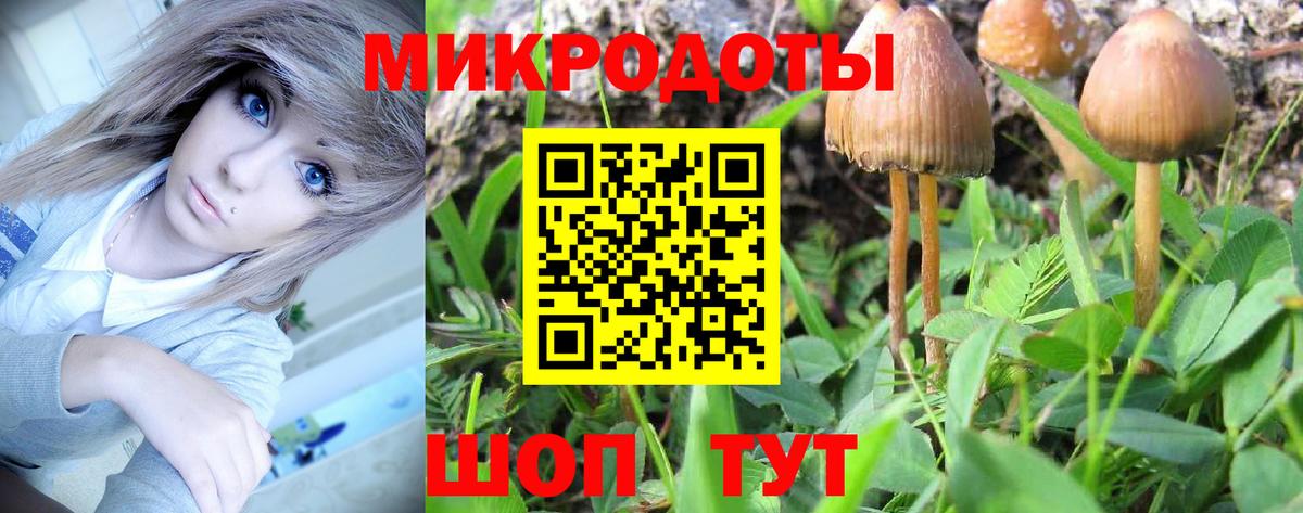 Псилоцибиновые грибы мицелий  Вход с VPN  Чебоксары  Галлюциногенные грибы GOLDEN TEACHER 